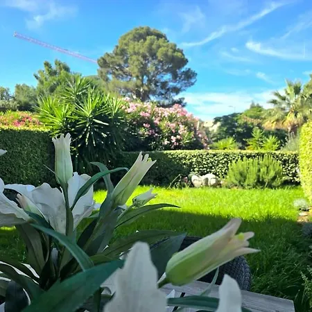 T2 Rdj La Louviere Saint Raphael Front De Mer Apartment Saint-Raphael (Var)